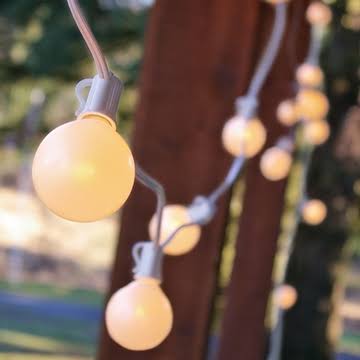 White Pearl Lights (Tent or Venue Lighting) image - Jacksonville, FL