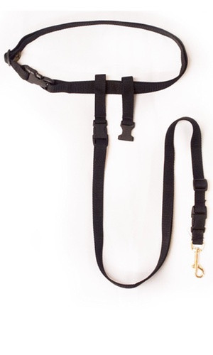 buddy system leash