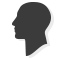 Political & Business Intelligence